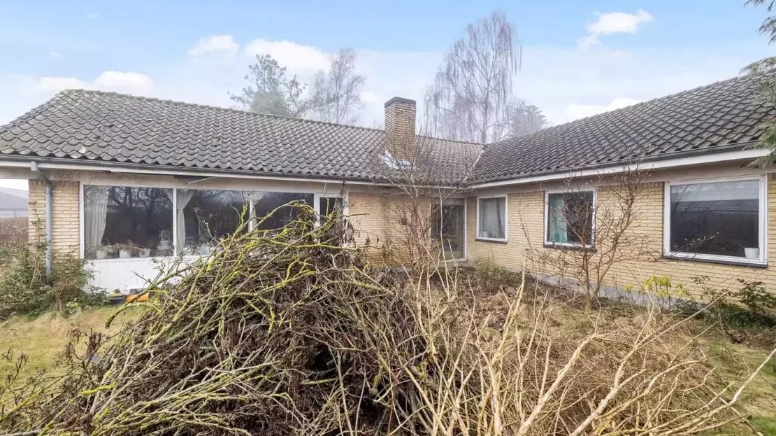video image